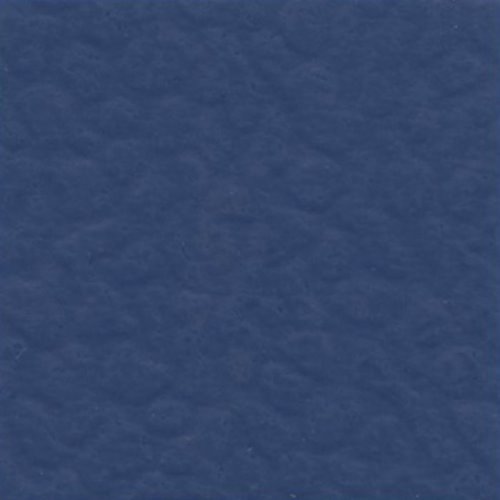 [렉스코트]솔리드 / Dark Blue / 블루 SPF6400